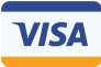 visa icon